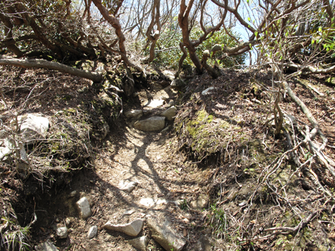 20140502hike (125)